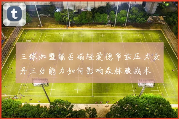 三球加盟能否减轻爱德华兹压力麦丹三分能力如何影响森林狼战术