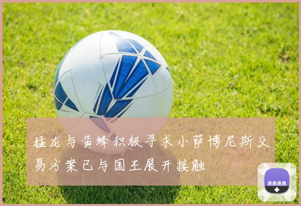 猛龙与黄蜂积极寻求小萨博尼斯交易方案已与国王展开接触
